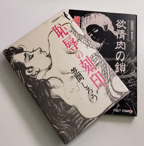 Shiro kasama vintage - kasama, kinbaku