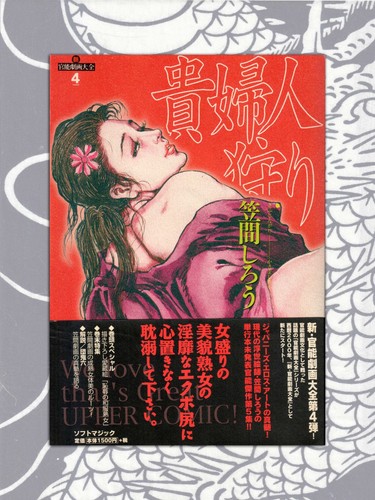 Lady hunter shiro kasama - lady,