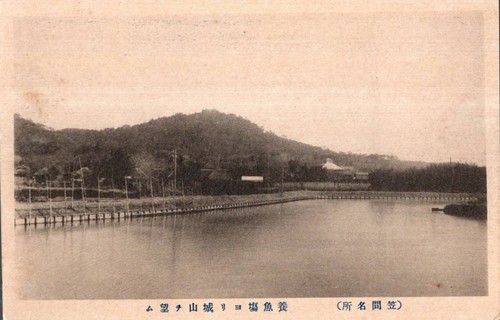 Picture postcard kasama - kasama, view